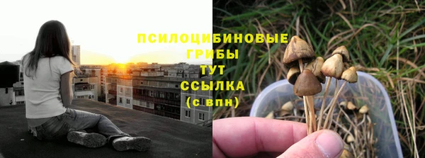прущая мука Нея
