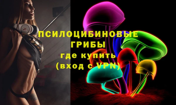 мдпв Нефтегорск