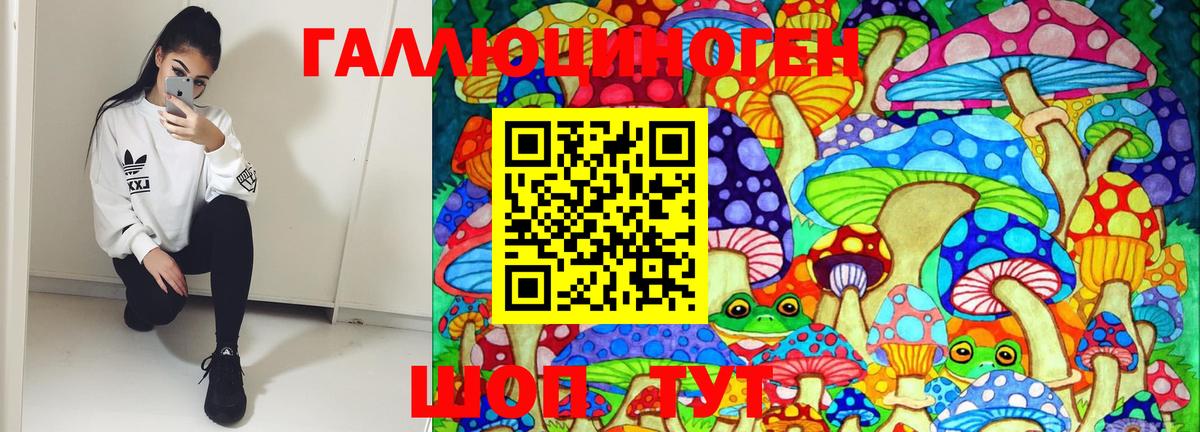 Галлюциногенные грибы Ейск