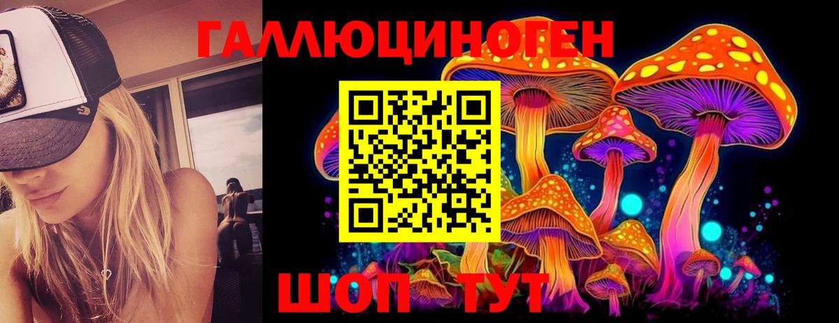 Галлюциногенные грибы Psilocybine cubensis Ейск