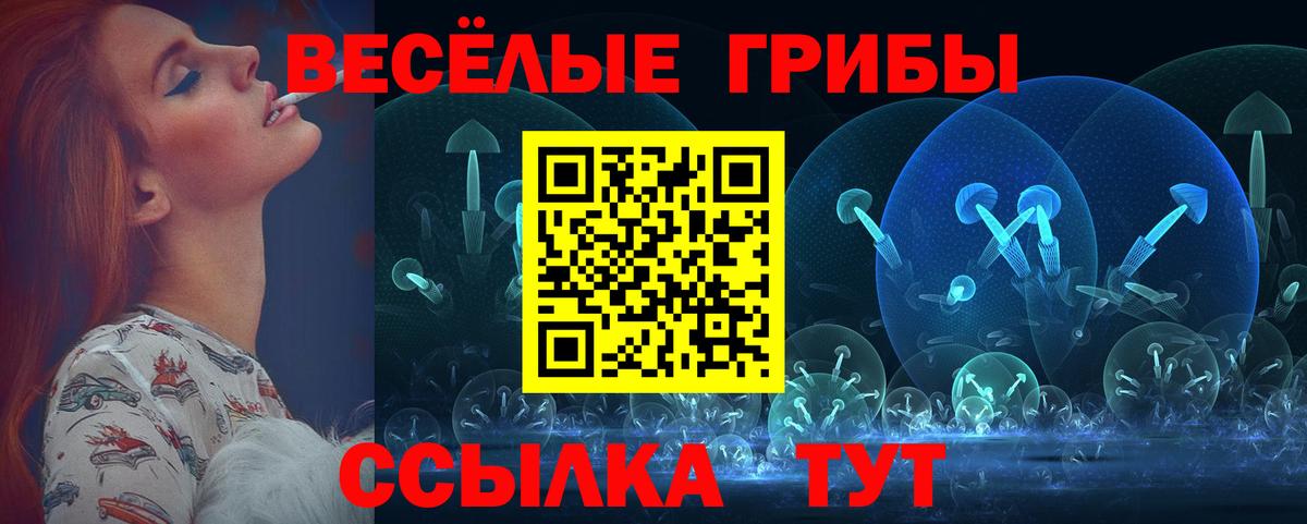 Галлюциногенные грибы GOLDEN TEACHER  Ейск 